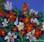 Florals XXVII  20 x 20 cm oilpaint on canvas with frame